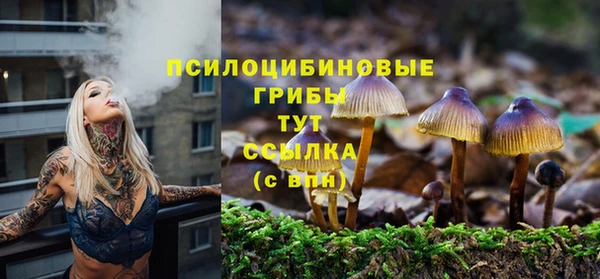 молекула духа Армянск